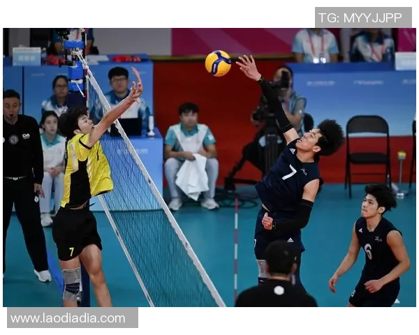 杭州排球队团队协作新模式引发热议助力竞技水平提升